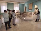 gallery_latest_0